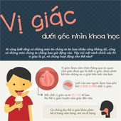 Vị giác dưới góc nhìn khoa học