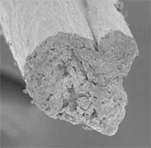 Sợi tiêu huỷ sinh học cứng như thép làm bằng cellulose từ gỗ