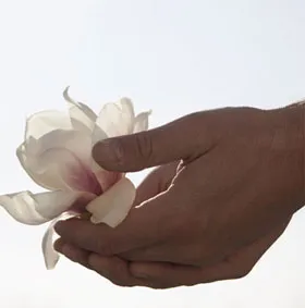 Da người có thể "đánh hơi" mùi