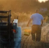 Lần đầu tiên giải mã thành công cấu trúc bộ gene lúa mỳ
