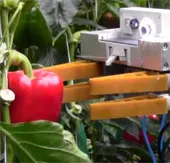 Robot thu hoạch trái cây