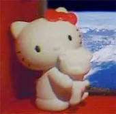 Mèo Kitty chuẩn bị bay vào không gian