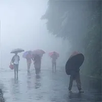 Cuộc sống kỳ lạ tại nơi “ẩm ướt nhất thế giới”