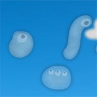 Lời giải khoa học cho hiện tượng 