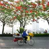 Bộ ảnh tuyệt đẹp về "Hà Nội - Những gánh hàng rong"