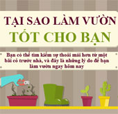 Lợi ích không ngờ tới của việc làm vườn