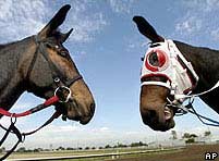 La nhân bản đua với la tự nhiên