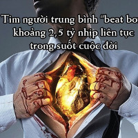 Những sự thật thú vị về trái tim của bạn