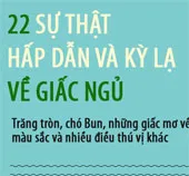 Những sự thật kỳ lạ và hấp dẫn về giấc ngủ