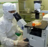 10 sự kiện khoa học công nghệ nổi bật 2014