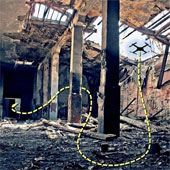 Mỹ chế tạo UAV giống chim phục vụ các hoạt động cứu con tin