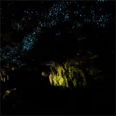 Hang động ấu trùng phát sáng kỳ ảo ở New Zealand