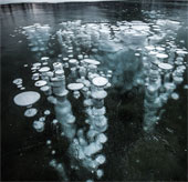 Chiêm ngưỡng hiện tượng 