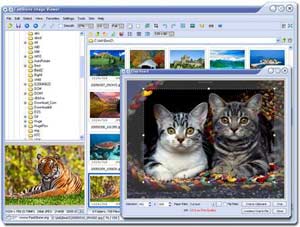 FastStone Image Viewer 2.6: Chương trình xem ảnh đa năng