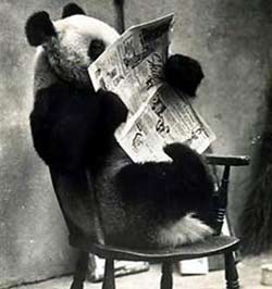 Báo in bàn cách đối phó 'cuộc cách mạng Online'