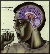 Phát hiện gen có liên quan đến giấc ngủ sâu