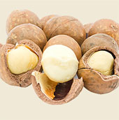 Lý do mắc ca được coi là 