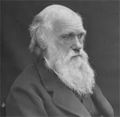 Ngày 12/2: Charles Darwin - Thuyết tiến hóa và chọn lọc tự nhiên