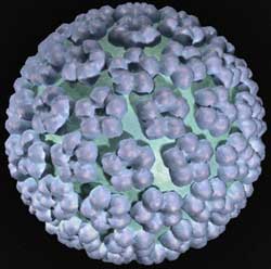 Đưa văcxin phòng ung thư cổ tử cung vào Việt Nam