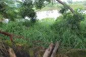 Gần 170.000 người thoát nguy cơ phơi nhiễm dioxin