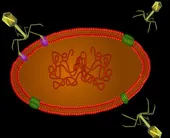 Virus "ngoài hành tinh" dưới đáy biển