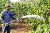 Máy bơm nước không cần nhiên liệu "made in" Việt Nam