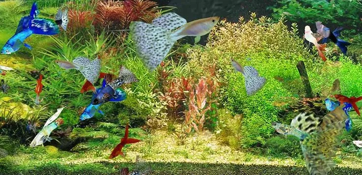 Phát hiện "chất kích thích" tăng khả năng thụ thai
