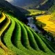25 bức ảnh về Việt Nam đẹp "không cưỡng nổi"