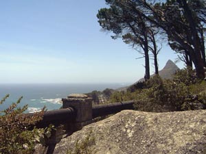 Khóa học đặc biệt về thiên nhiên hoang dã