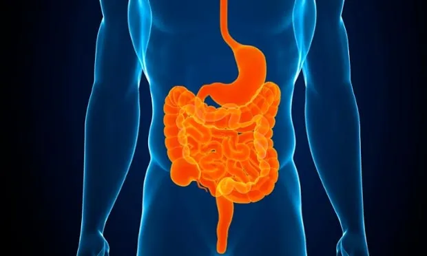 Tất cả chúng ta đều đang "giải quyết nhu cầu" sai cách
