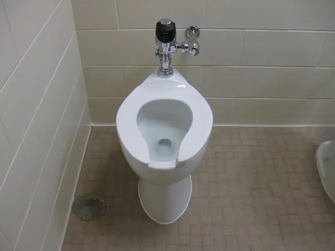 Tìm hiểu những sự thật giật mình về toilet khiến ai cũng bất ngờ