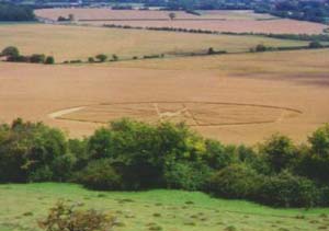 Tìm lời giải cho những vòng tròn bí hiểm