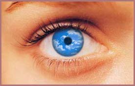 Hội thảo khoa học kỹ thuật nhãn khoa