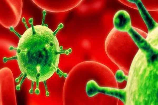 Virus MERS đang gây hoang mang nhất hiện nay nguy hiểm đến đâu