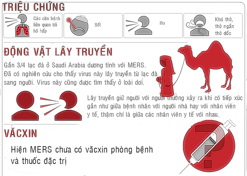 Cách phòng chống dịch MERS