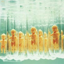 Sinh sản không cần sex