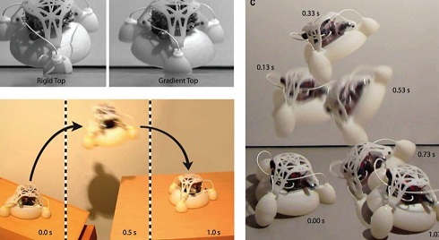 Mỹ thiết kế robot in 3D biết biến hình và nhảy cao