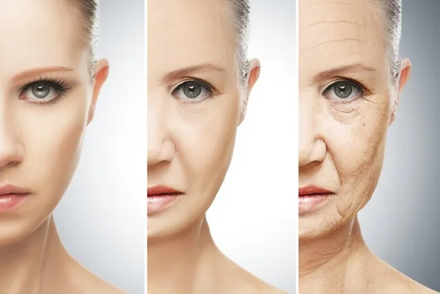 Tìm ra thủ phạm của quá trình lão hóa