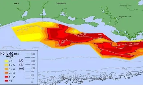"Vùng chết" lan rộng trên vịnh Mexico