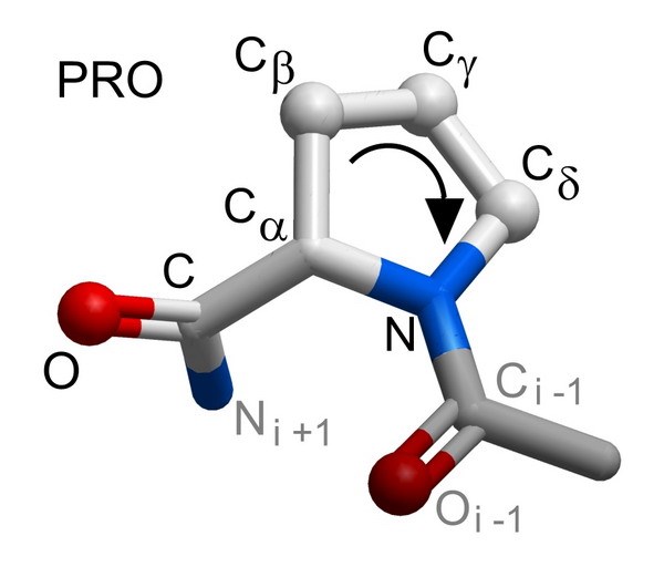 Máy in 3D tạo mô hình chuỗi protein nghiên cứu ung thư