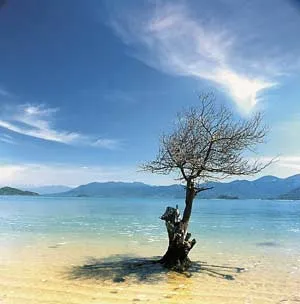 Khánh Hòa: Sẽ có thêm khu bảo tồn biển