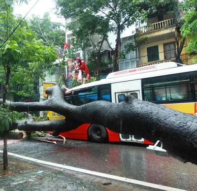 Những việc "buộc phải nhớ" khi ra ngoài ngày mưa bão