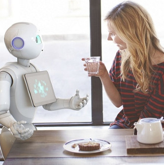 Nhà sản xuất cấm khách hàng ân ái với robot