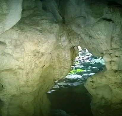 Phát hiện hang động “mới” ở vườn quốc gia Phong Nha - Kẻ Bàng