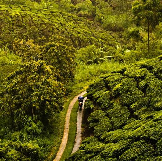 Chùm ảnh tuyệt đẹp về thiên nhiên trên khắp thế giới