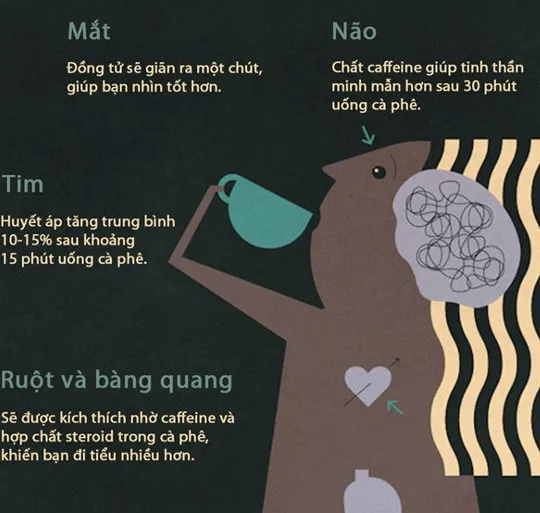 Điều gì xảy ra với cơ thể khi bạn uống cà phê?