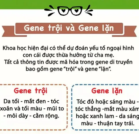 Xem trước ngoại hình con cái của bạn trong tương lai