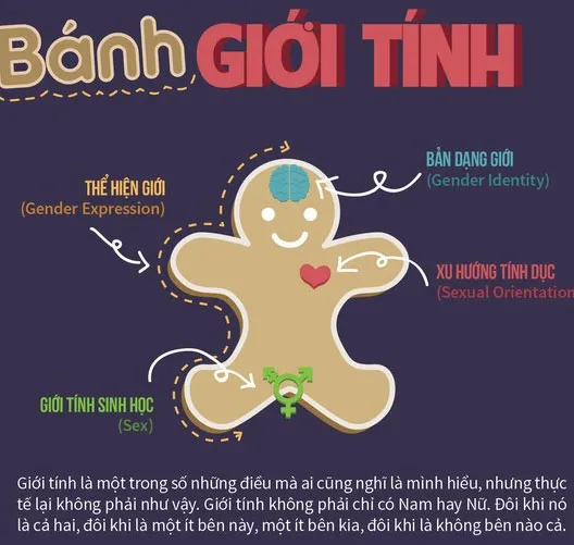 Đo độ mù tịt về giới tính của bạn qua "bánh giới tính"