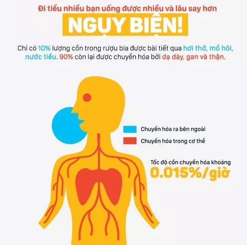 Lý giải vì sao có người tửu lượng cao, người 