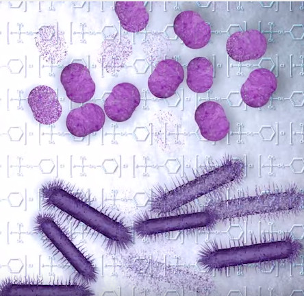 Paint Shield: Sơn diệt khuẩn lên đến 99,9%